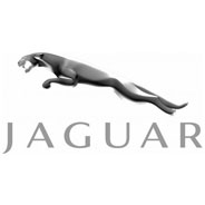 Jaguar Cylinder Liner